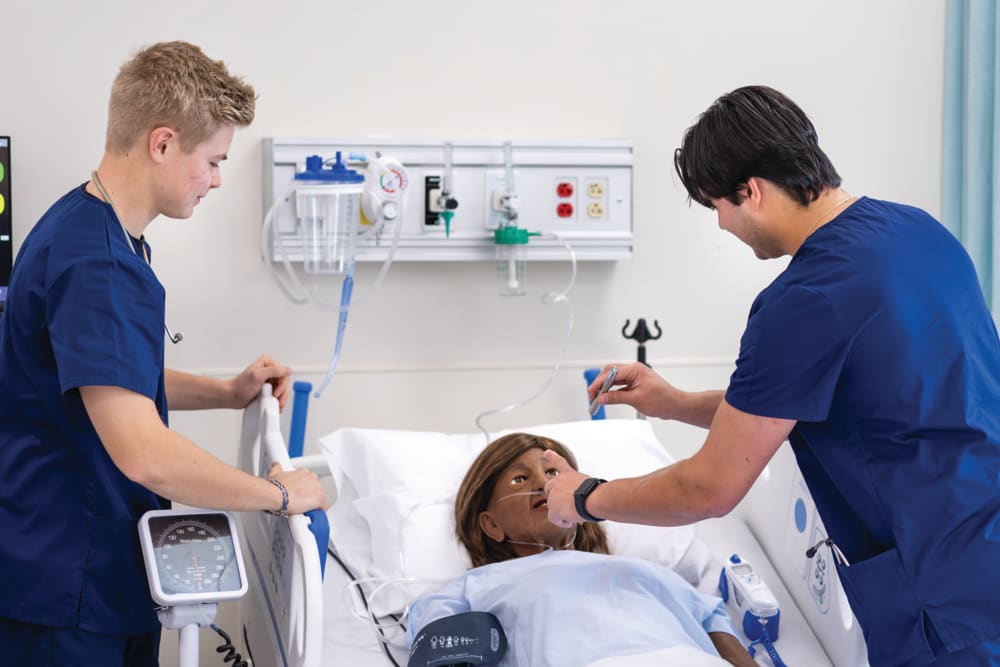 Brock University Nursing Program