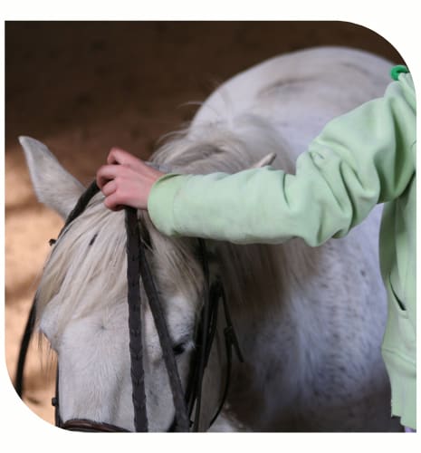 Darte Family Youth Mental Health Fund