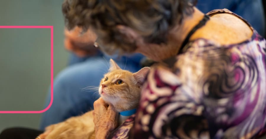 A woman holds a ginger cat that is looking up at her.