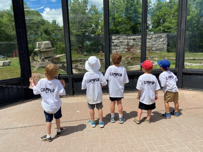 Children from a Pelham summer camp look at zoo animals.
