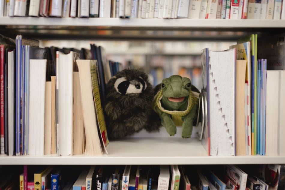 Two puppets sitting on a bookself next to books at a library.